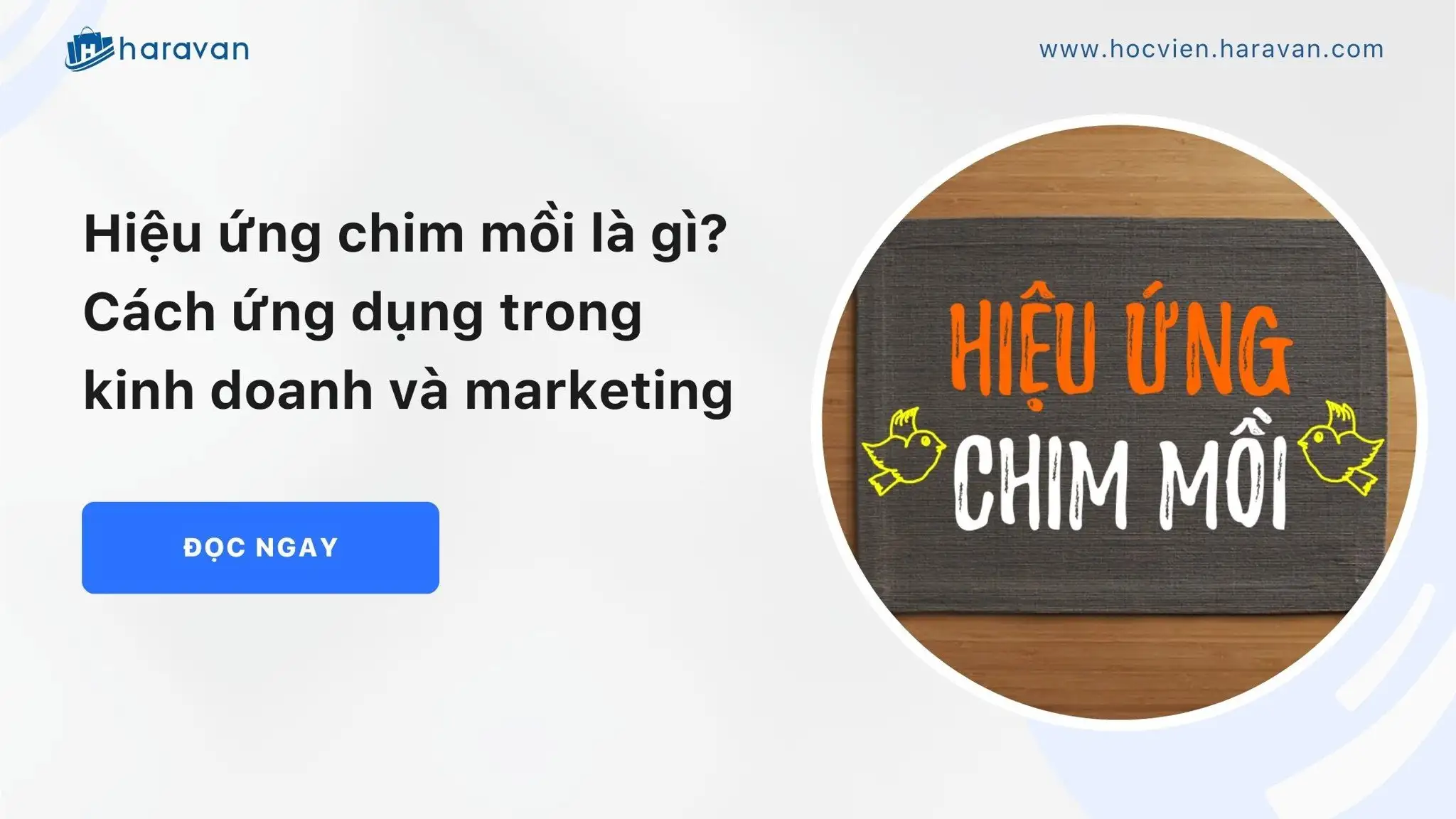 Hiệu ứng chim mồi là gì? Cách ứng dụng trong kinh doanh và marketing