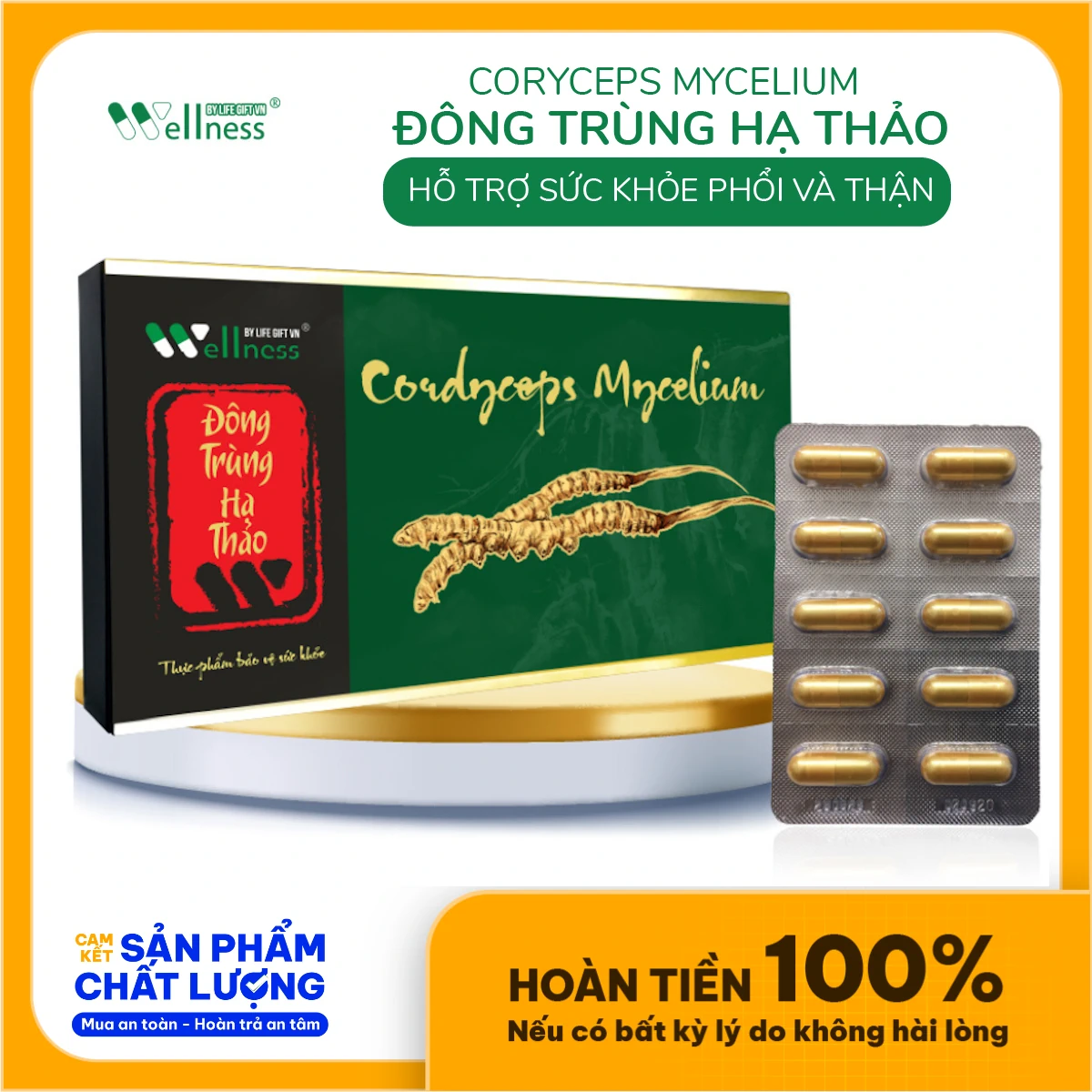 Viên đông Trùng Hạ Thảo Nhuận Phổi